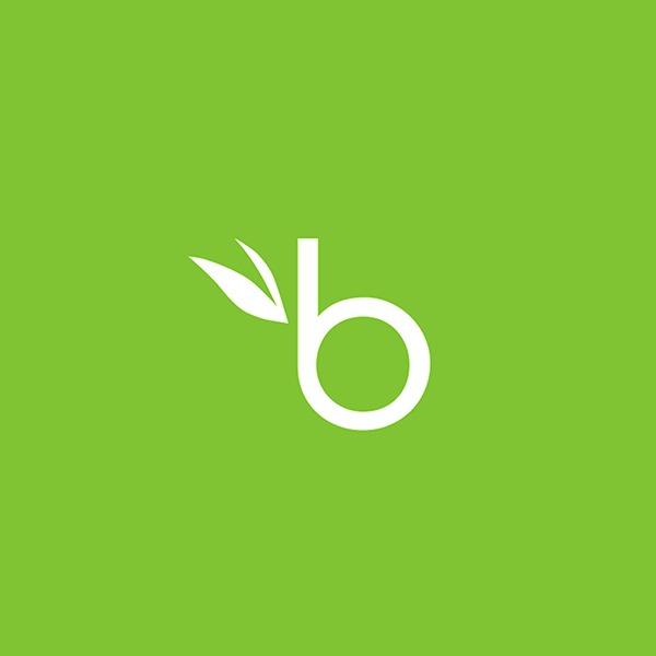 BambooHR